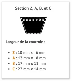 image guide de taille courroie classique