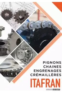Pinions, chains, gears, racks catalog PDF