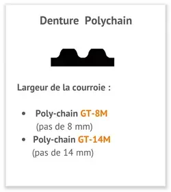profil courroie dentée / synchrone Powergrip