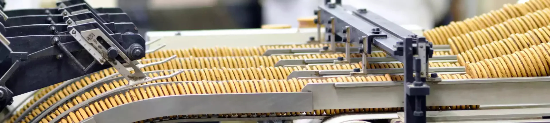 Food processing