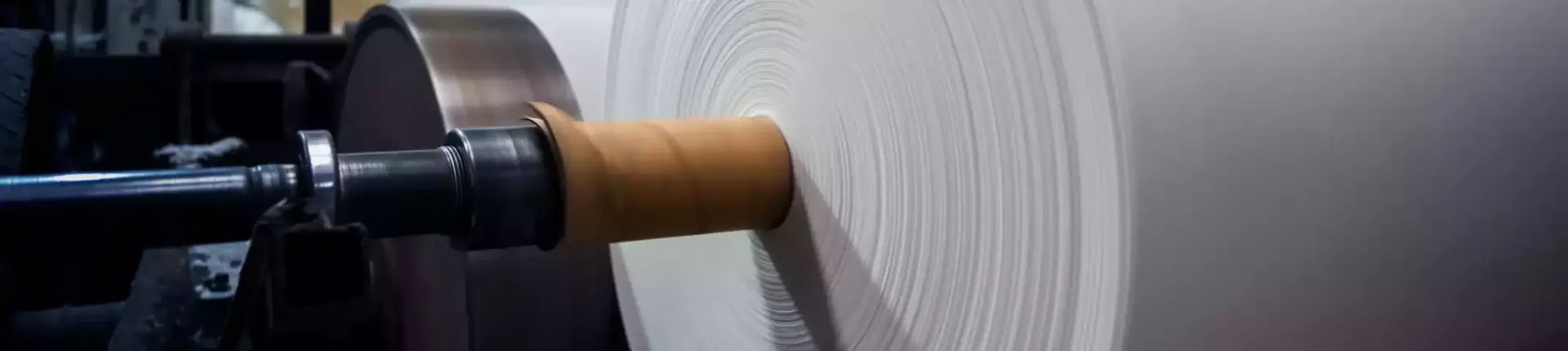 Cardboard and paper